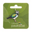 Ženkliukas paprastoji pempė